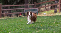 Rigby and Trixie