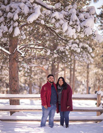 Denver maternity photographer