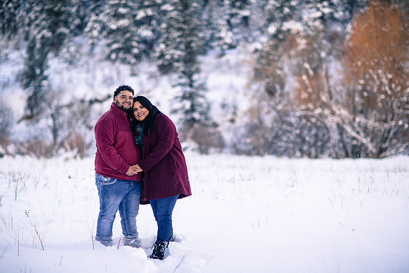 family photographer Evergreen